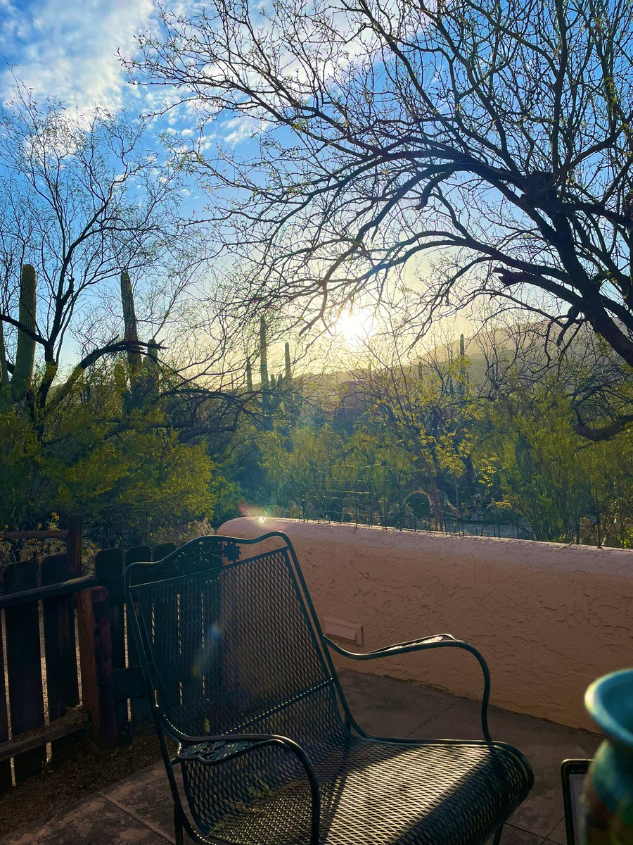dustindena's tweet photo. home + office for the next month 🌵. #remoteworking https://t.co/XrNtSVNtep