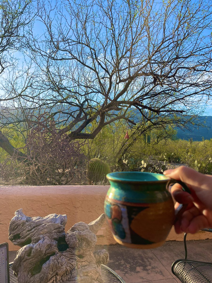 dustindena's tweet photo. home + office for the next month 🌵. #remoteworking https://t.co/XrNtSVNtep