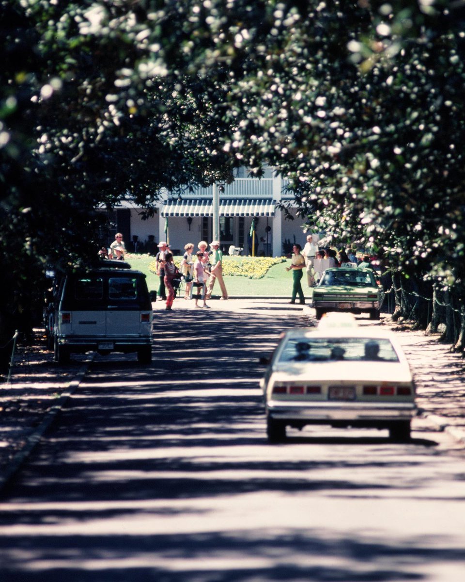 GolfDigest's tweet photo. Magnolia Lane, 1970s. https://t.co/kbMgBdWf8W