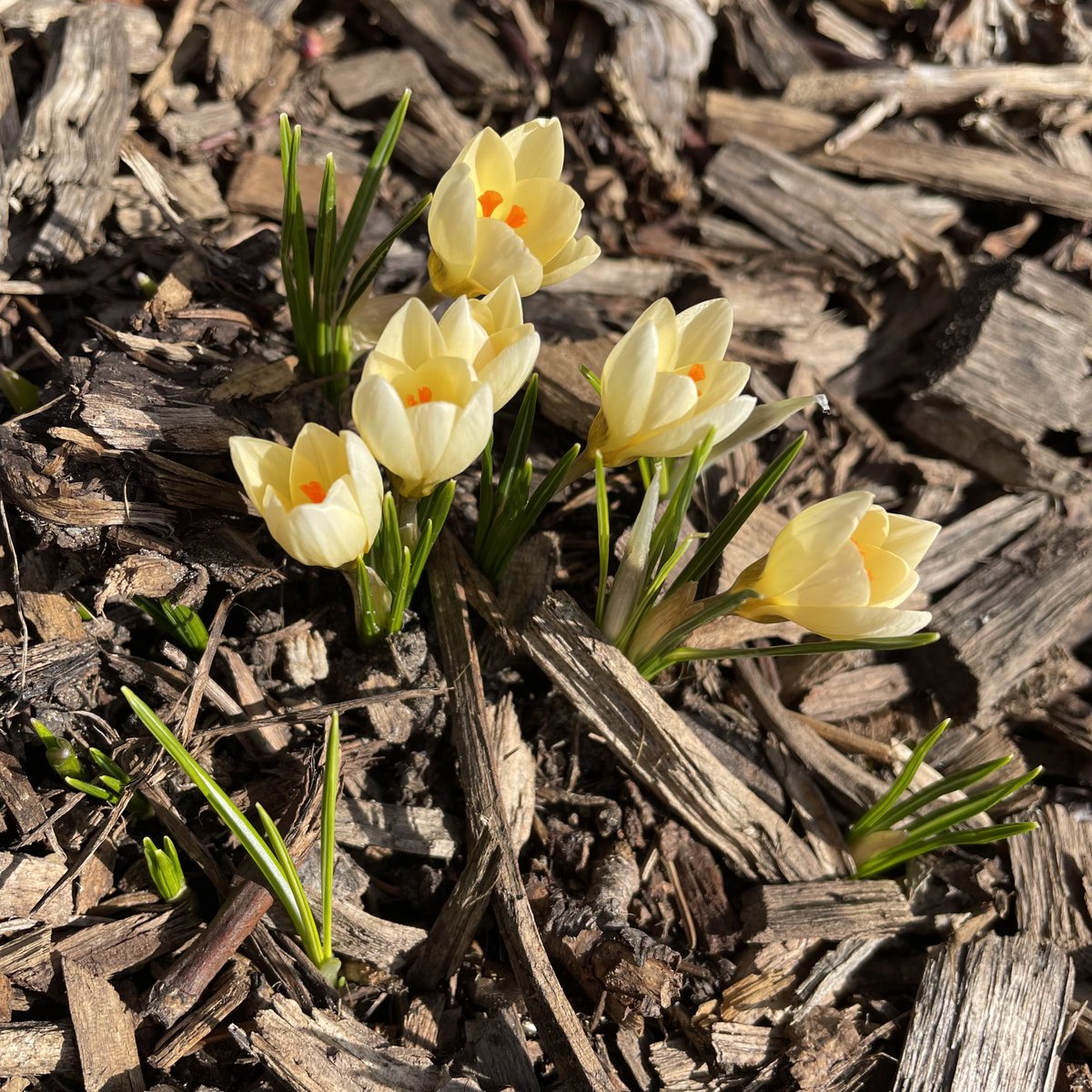 St. Anne's Church tweet media