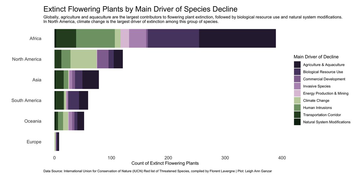 LeighAnn Ganzar tweet media