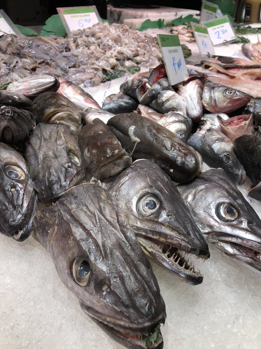 SH_SportsTour's tweet photo. Una tarde muy especial con comida #Boqueria https://t.co/bcSlDdZ5Rj