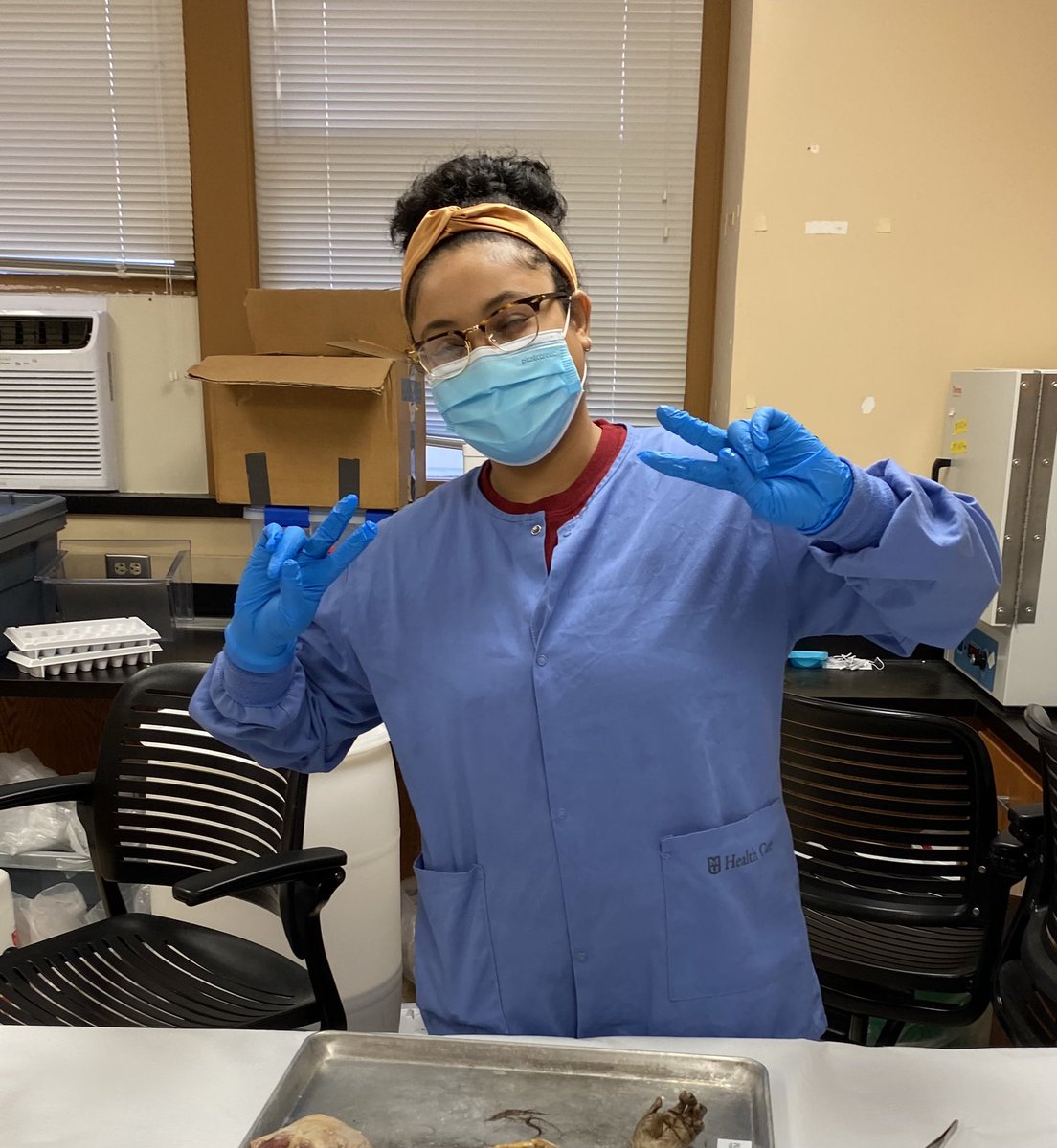 Carol Ward (@wardcv) on Twitter photo Thrilled and proud to announce that Mara Fields <a href="/botmorbit/">Mara Fields :)</a> has been awarded an NSG Graduate Research Fellowship! Congrats Mara!! <a href="/AnatomyMizzou/">Mizzou Integrative Anatomy</a> Thrilled and proud to announce that Mara Fields <a href="/botmorbit/">Mara Fields :)</a> has been awarded an NSG Graduate Research Fellowship! Congrats Mara!! <a href="/AnatomyMizzou/">Mizzou Integrative Anatomy</a>
