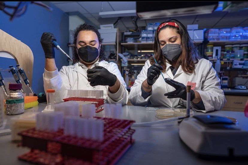 Mariana Byndloss (@mari_byndloss) on Twitter photo Byndloss lab 2021 #HHMI Gilliam Fellow <a href="/ShealyNic/">Nic Shealy</a> and 2022 #NSF GRFP Fellow @tsosciencey doing their thing! The future of Science is BRIGHT and DIVERSE and I’m here for it. 🙌🏽#Humblebrag #ProudPI #DiversityandInclusion <a href="/VanderbiltU/">Vanderbilt University</a> @VI4Research @VUMCMolecPath <a href="/VuBiome/">Vanderbilt Microbiome</a> Byndloss lab 2021 #HHMI Gilliam Fellow <a href="/ShealyNic/">Nic Shealy</a> and 2022 #NSF GRFP Fellow @tsosciencey doing their thing! The future of Science is BRIGHT and DIVERSE and I’m here for it. 🙌🏽#Humblebrag #ProudPI #DiversityandInclusion <a href="/VanderbiltU/">Vanderbilt University</a> @VI4Research @VUMCMolecPath <a href="/VuBiome/">Vanderbilt Microbiome</a>