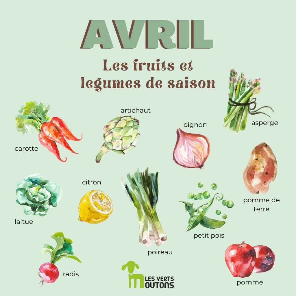 C’est le mois d’Avril, et bientôt le retour des beaux jours 🌞 

Découvrez la liste des fruits et légumes de saison et faites vous plaisir avec des assiettes saines et colorées ! 🌱

Légumes du mois d’avril:

- Ail
- Artichaut
- Asperge
- Betterave
- Blette
- Carotte
- Chou-fl…