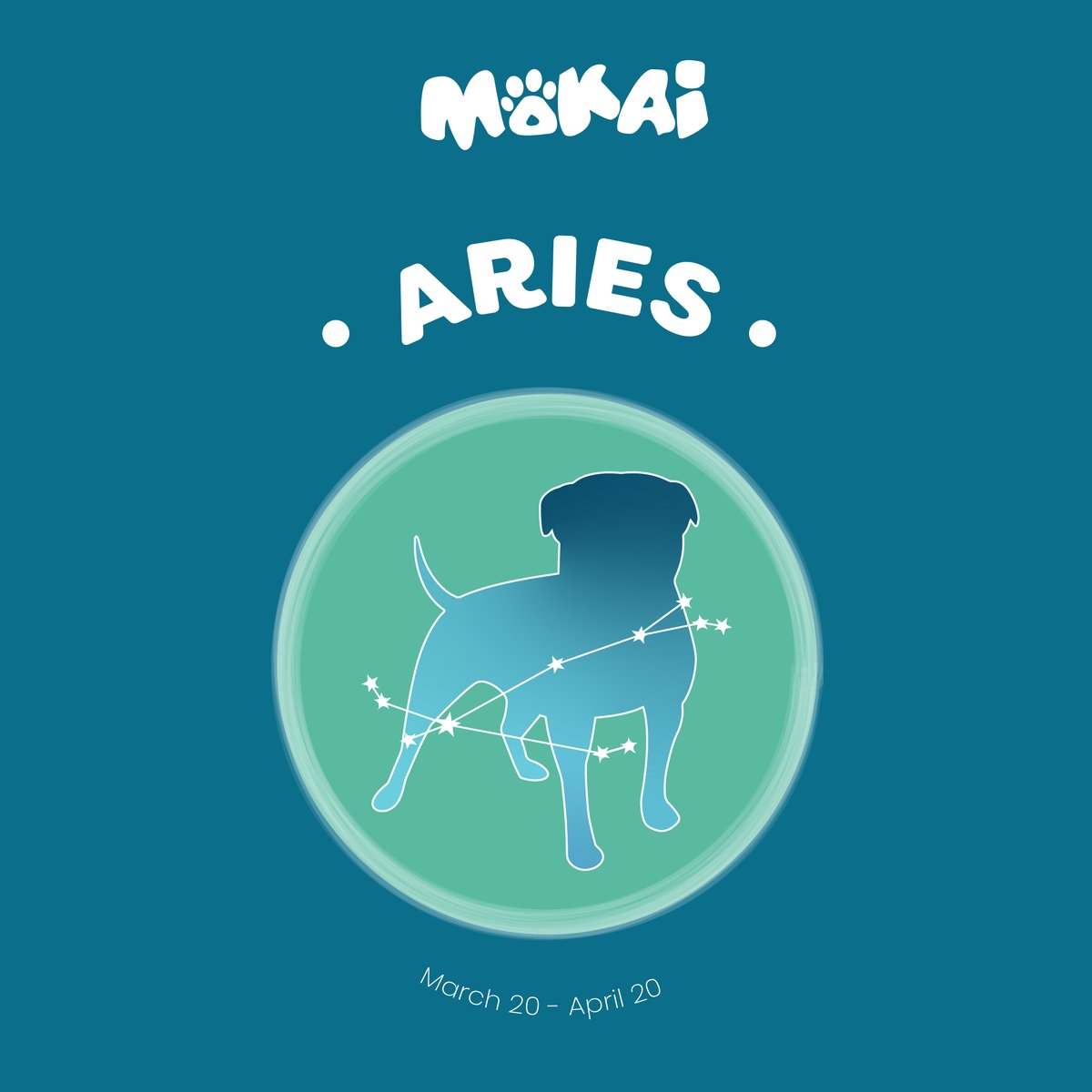 mokaipaws's tweet photo. Aries dogs are cheerful and lively ones that absolutely love running and playing for long periods of time 🐾
Some of Aries dogs strengths are:
✊🏽 Independence 
⚡ Energetic
💪🏽 Strong-willed
✨ Optimistic https://t.co/GxK2ro0Lec