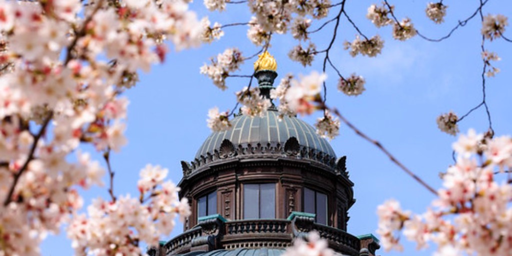librarycongress's tweet photo. Celebrate Japanese Culture Week with the Library and @CherryBlossFest. Explore our array of educational events, and book your visit to the Library to view our collections related to cherry blossoms and Japanese culture. Mark your calendar: https://t.co/gJVA3gYBLh https://t.co/khFNzQSHVU
