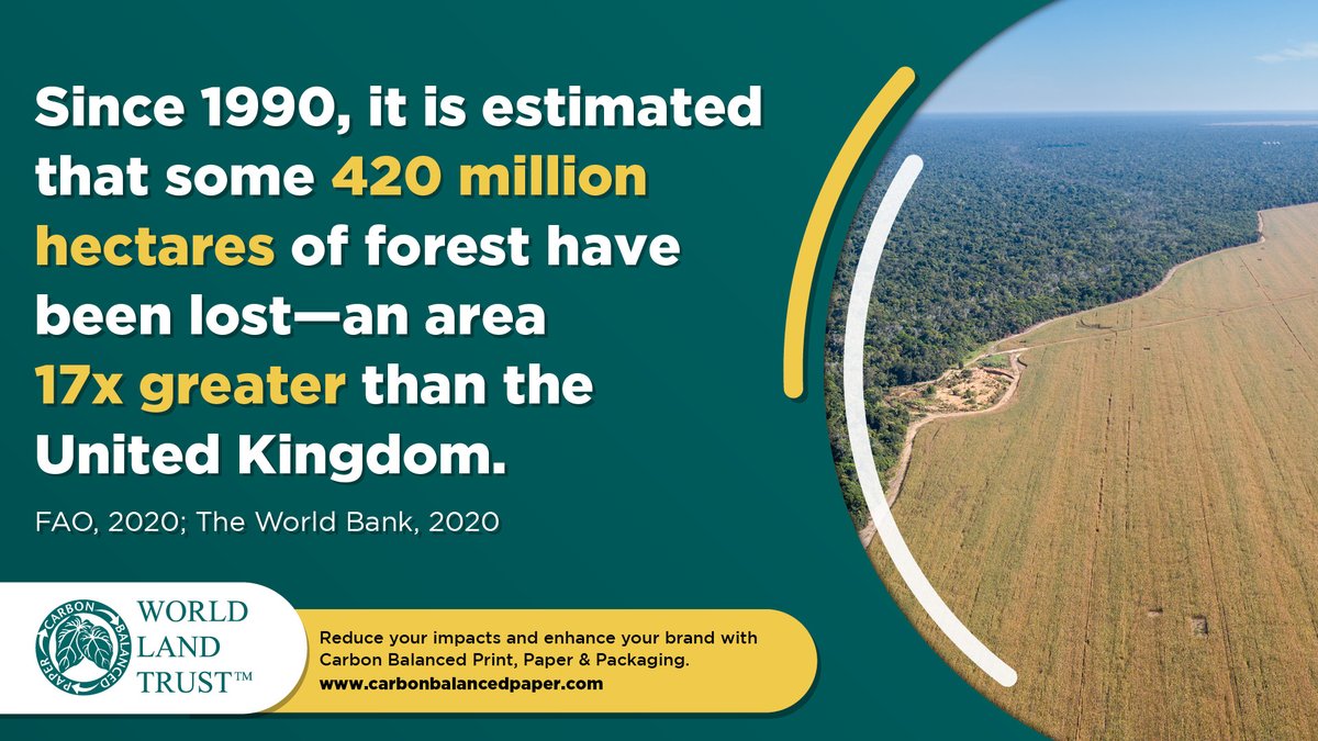 CarbonBalanced's tweet photo. The race to net zero – the world depends on it. #CarbonBalanced #Print and #Paper – https://t.co/M7sislXjhM https://t.co/0ZY7lZadVx