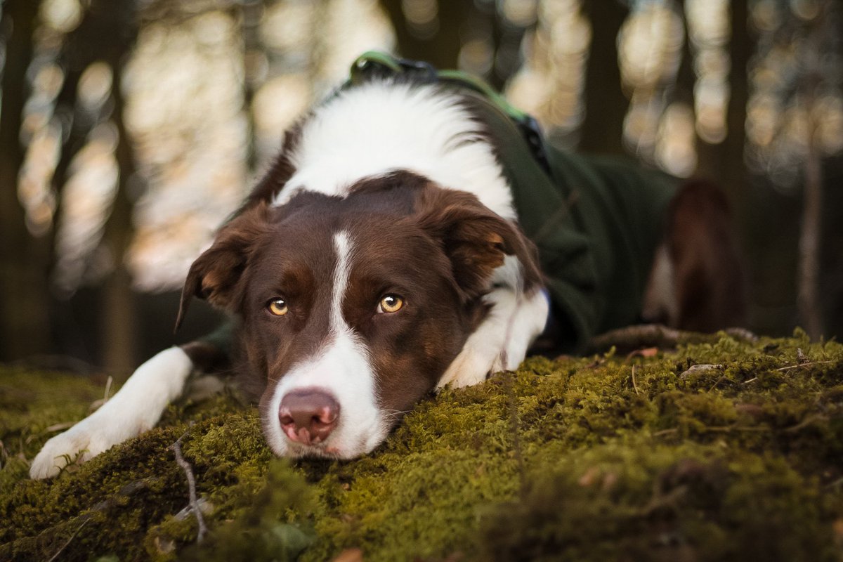 Murphy & Fly tweet media