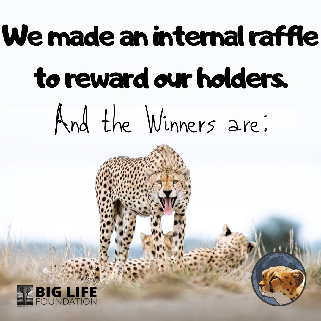 Cheetah Token tweet media