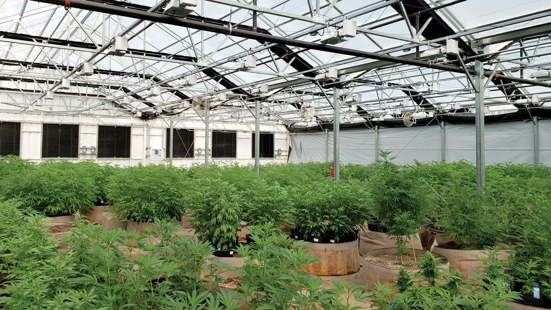 Our best advice for running your first #cannabisgreenhouse: work smarter, not harder. Figuring out what that actually looks like in practice, however, can be easier said than done...so here's our two cents for planning your first #customgreenhouse 👉 bit.ly/GrowSmarterCan…