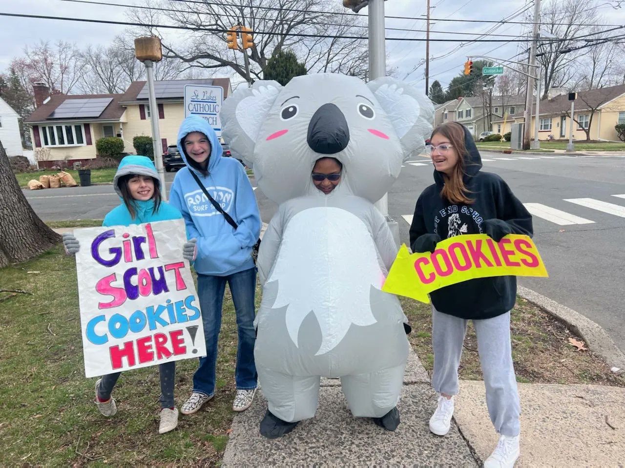 Girl Scout Cookie Box Costume
