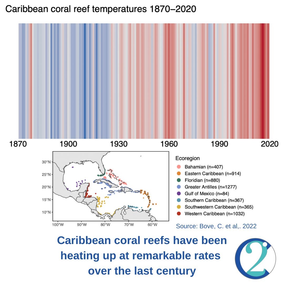 c_degrees's tweet photo. We urgently need to reduce greenhouse gas emissions to protect the remnant Caribbean coral reefs and similarly at-risk global ecosystems.

#2DegreesC #ClimateChangeIsReal #ClimateStrike #ClimateEmergency #FridaysForFuture #ClimateJustice #SaveTheEarth #Ocean #ProtectOurOceans https://t.co/WuTpMhyWMy