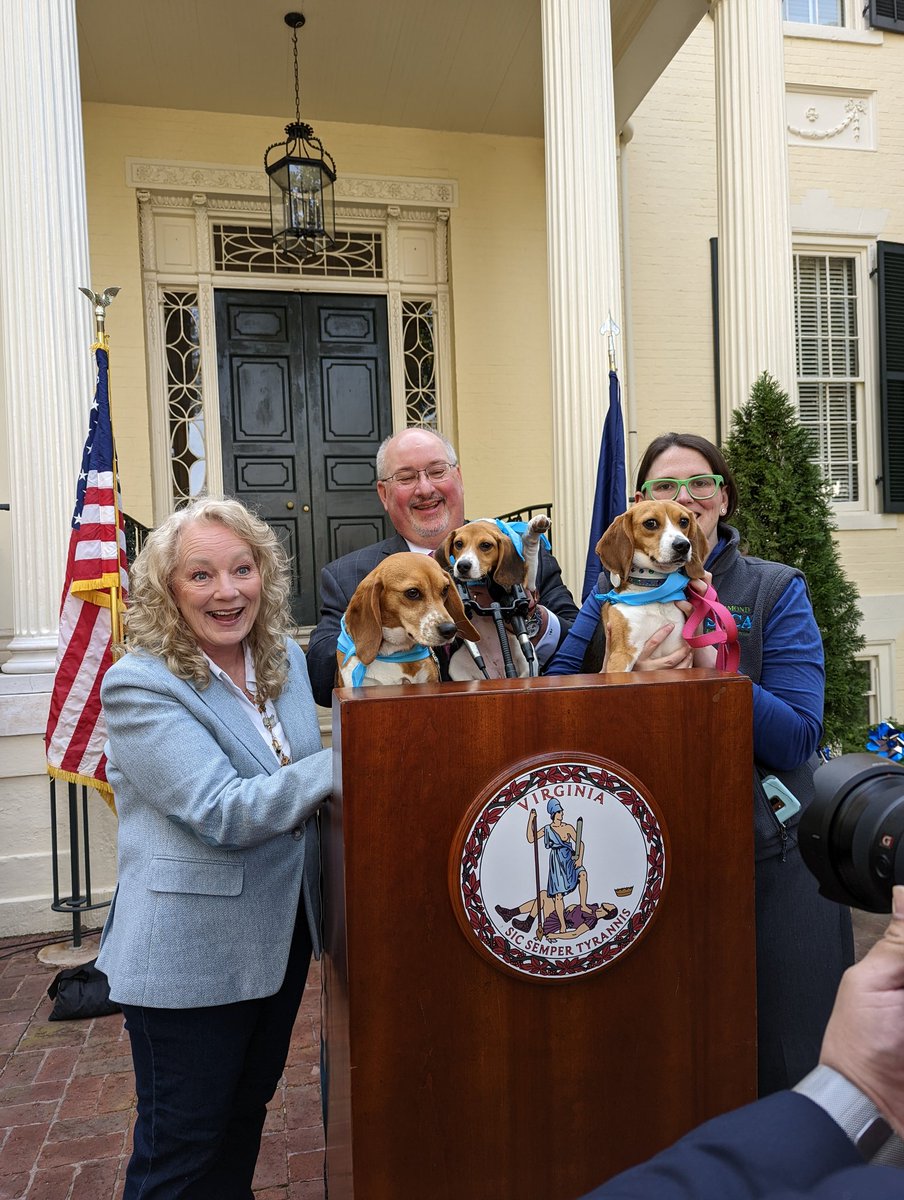 Former research beagles who've found homes through the Richmond SPCA are gathered at the executive mansion this morning for VA Gov <a href="/GlennYoungkin/">Glenn Youngkin</a> to sign five pieces of legislation to protect beagles. <a href="/BillStanley/">Senator Bill Stanley</a>