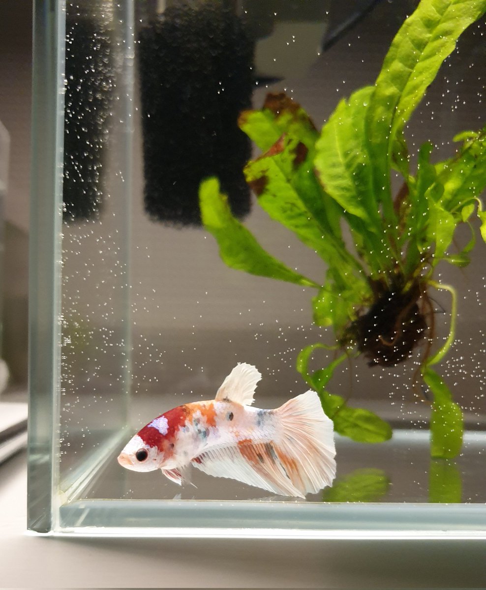 잠 안 올 때는 물멍이죠
이 색감이 딱 맞네요🌸