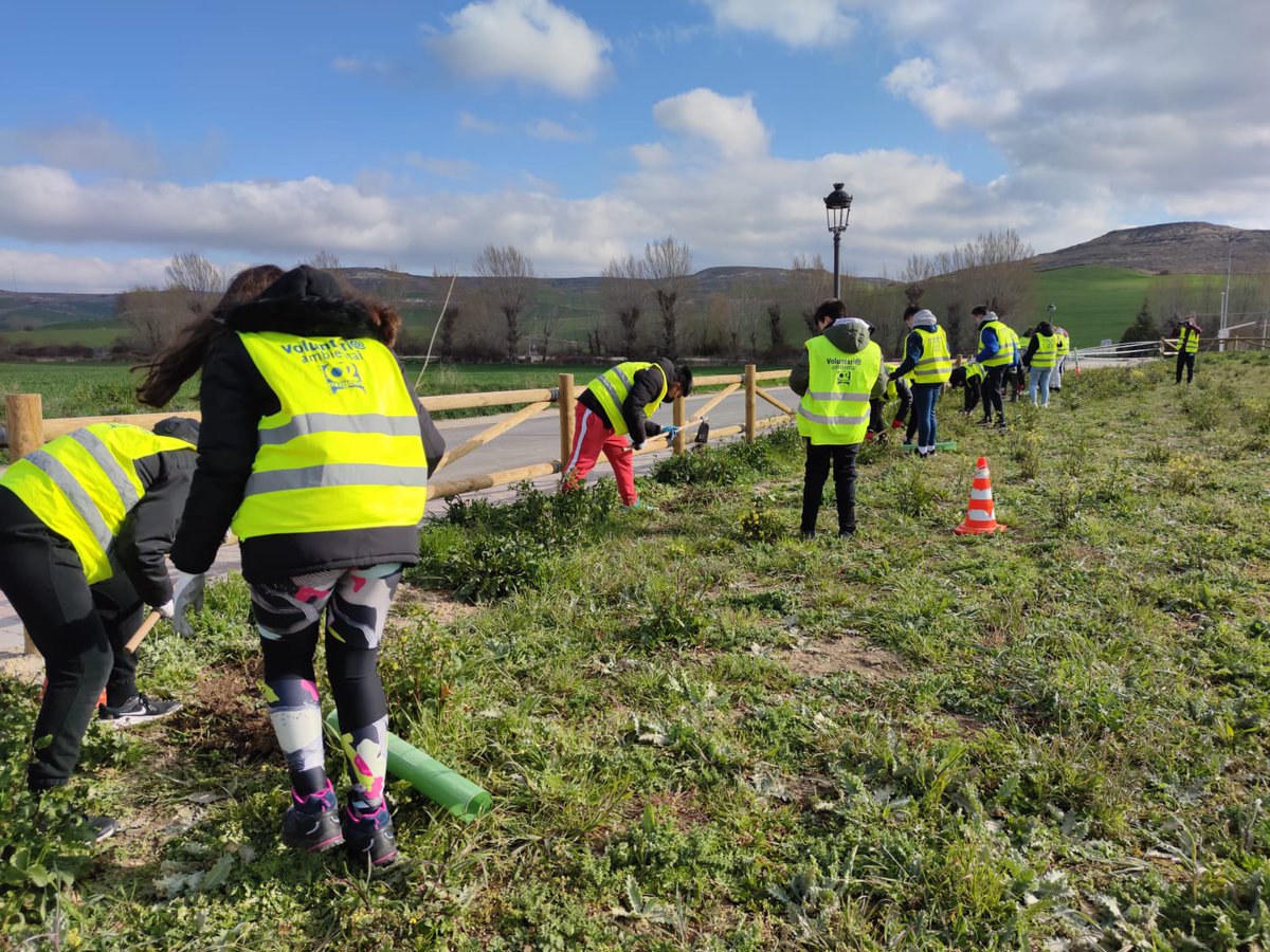 fundacionO2's tweet photo. #Arroyal #Burgos
Fresca mañana en la que hemos comenzado a plantar este nuevo parque urbano, con los alumnos de 3º ESO del IES Conde Diego Porcelos de la capital. Buen trabajo y más importante aportación
#plantación #csirios https://t.co/PadK0FcLgP