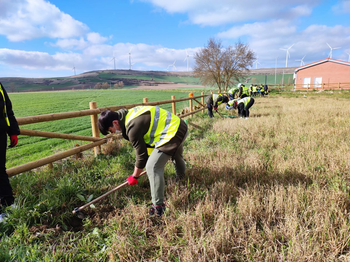 fundacionO2's tweet photo. #Arroyal #Burgos
Fresca mañana en la que hemos comenzado a plantar este nuevo parque urbano, con los alumnos de 3º ESO del IES Conde Diego Porcelos de la capital. Buen trabajo y más importante aportación
#plantación #csirios https://t.co/PadK0FcLgP