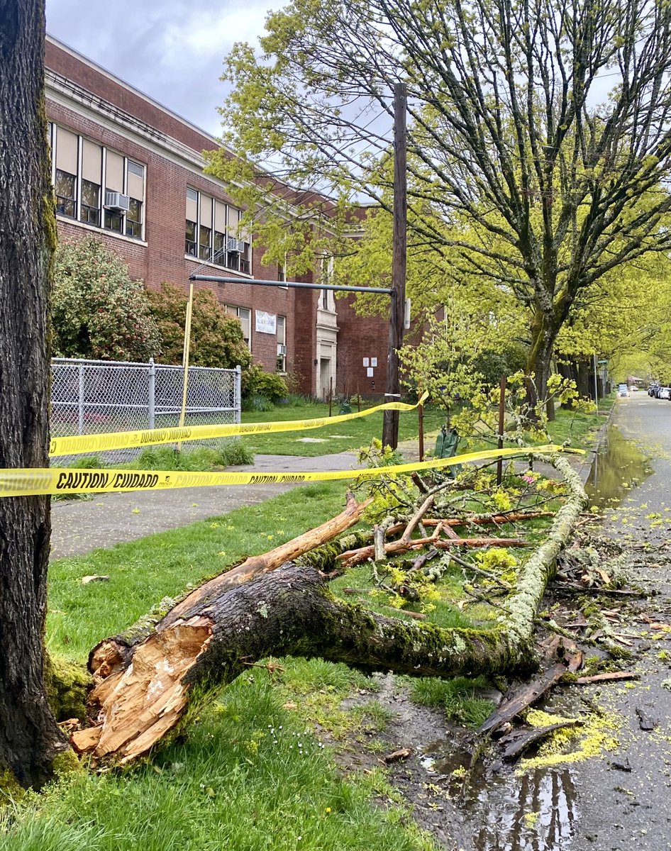 LandlordsGame's tweet photo. @KGWNews High winds overnight brings down branches near Abernathy Elementary School in SE Portland https://t.co/8hZK53F9pS