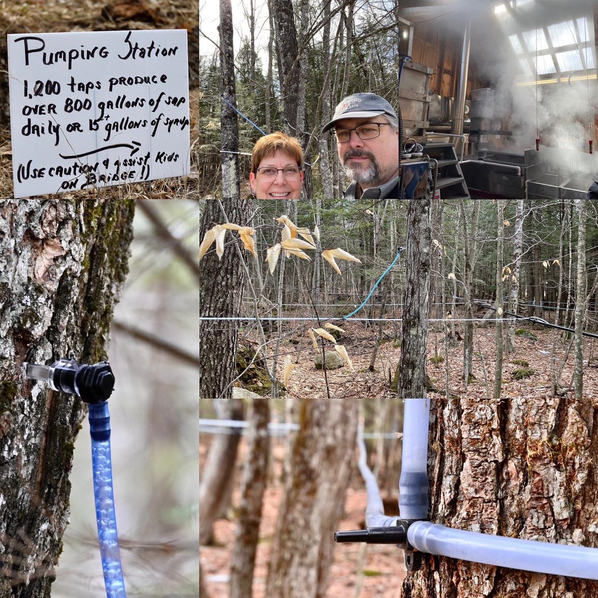 Last weekend (March 26th &amp; 27th) was Maine Maple Sunday Weekend!  Awesome festivities! Harvest Moon Farm on Saturday (young farm) and @BalsamRidge Farm on Sunday (extensive farm).
#maplesyrup #mainemaplesunday #mainemaplesyrup #thingstodoinmaine #weekendfestivities #exploremaine