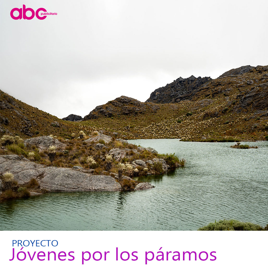 abcpublicitario's tweet photo. Hasta el lunes 11 de abril de 2022, estará abierta la convocatoria que busca 37 jóvenes, entre 18 y 28 años, para convertirlos en embajadores de los páramos de Colombia.
Lea completa esta nota en:
https://t.co/vffChQlouQ https://t.co/VtoIof7DXC