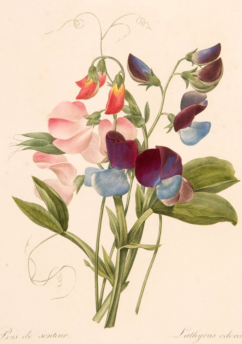duivenvoorde's tweet photo. De #nationalemuseumweek is gestart! 

Wij tellen deze week af tot het kasteel op 14 april de deuren weer opent met 'Bloeiend Duivenvoorde' 🌸

Heeft u uw tickets al gereserveerd? 

👉 https://t.co/4gdY47jR6a https://t.co/hlyUHMRMVC