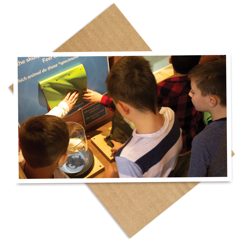 MuncieMuseum's tweet photo. Did you know that play can play a major role in a child’s success?

The American Academy of Pediatrics says play builds 21st-century skills, such as problem-solving, collaboration, and creativity, which require the executive functioning skills that are critical for adult success! https://t.co/CA4jDMeyMa
