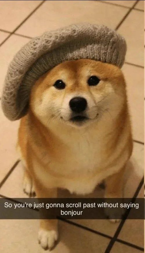 Own The Doge 🐶🖼 tweet media