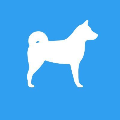 criptopaul's tweet photo. $DOGGER hype is real. 
Proud to have brought this to your attention, as I told you, it’s not bad to jump in not too early sometimes, you have time to figure out if it’s a real moonshoot or just another p&amp;d ....

And $DOGGER is one of the best moonshoot of 2022 as predicted. LFG! https://t.co/TlGPydyjwN