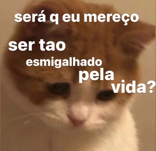 Saradocinzas's tweet photo. https://t.co/BcjECVKRX7