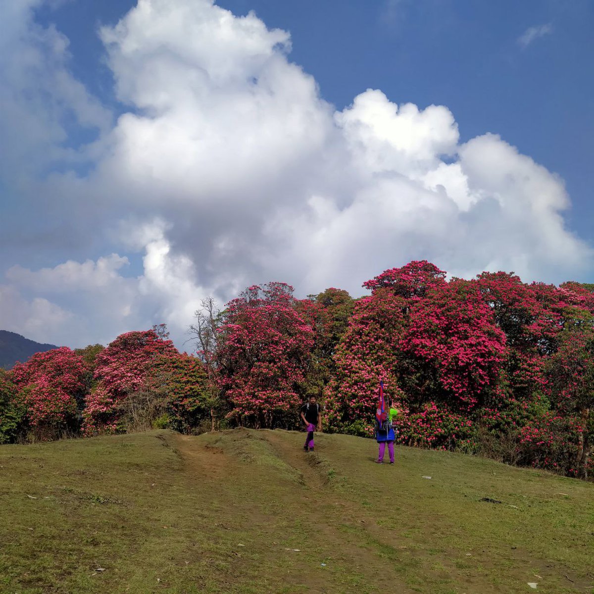 प्रकृति र हामी 🤘🤘