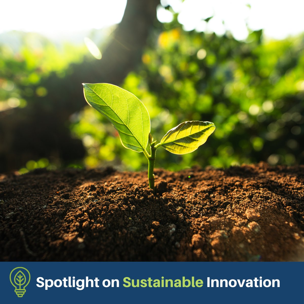 Bioenterprise Canada tweet media