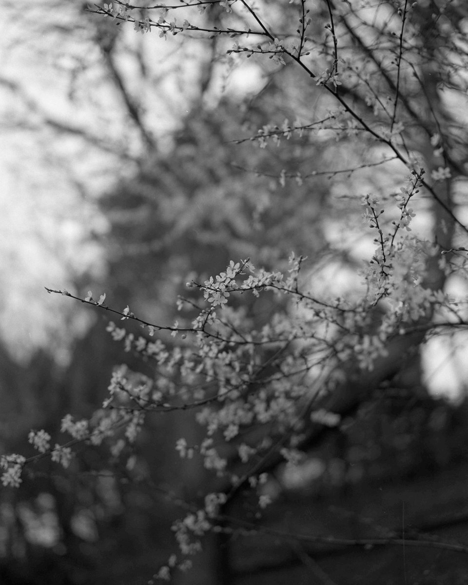 Featured today: 'The Depth of Normalcy' by Molly-anne Webb

Read the full interview: blackriver.online/molly-anne-web…

#BlackRiverIssue02