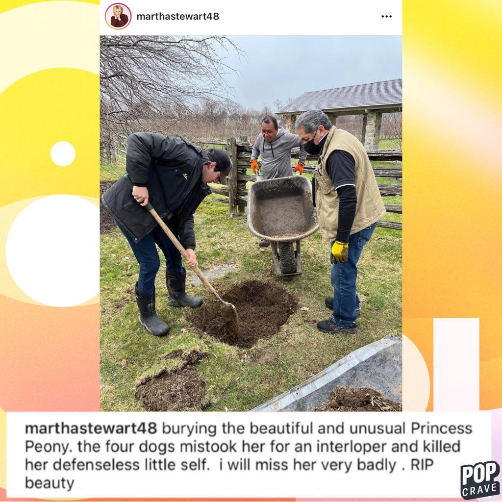 Pop Crave on Twitter "Martha Stewart took to her Instagram to reveal(02)