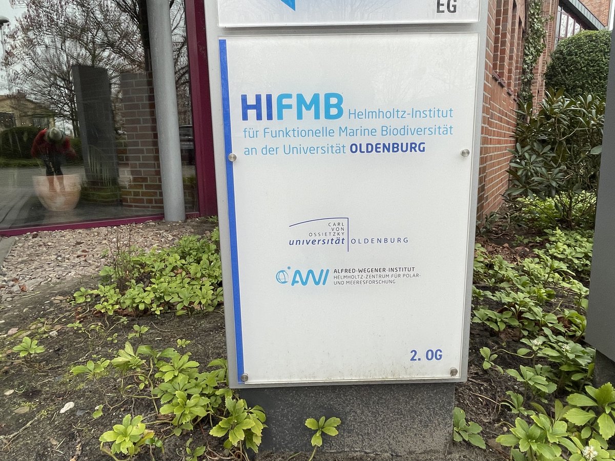 Dr Arlie🚢🦀🐚🦐🇦🇶 @arliemccarthy.bsky.social tweet media