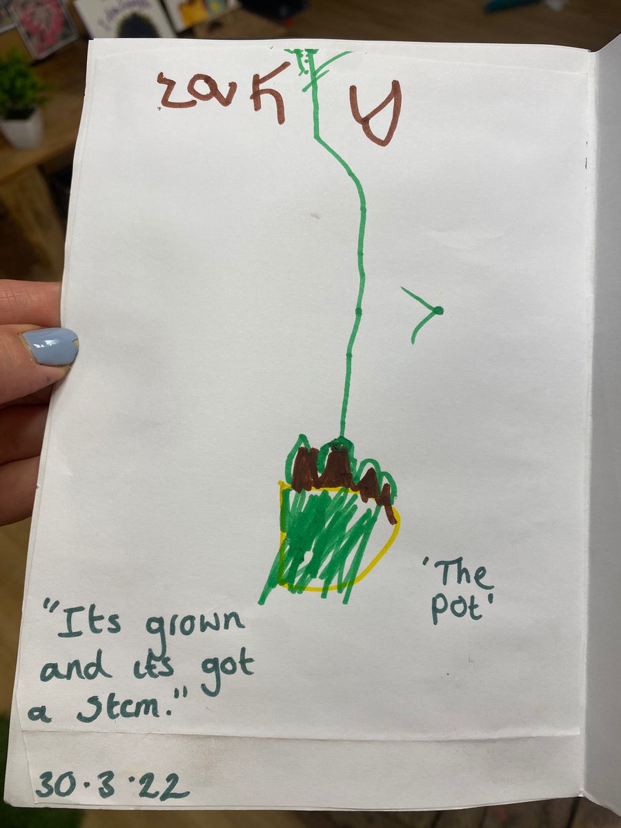 We have really enjoyed learning about growing and watching our bean plants grow. Each child has created their own  bean plant diary &amp; recorded the changes they have observed over the past few weeks. 🍃 🌱 🪴 💦 ☀️ <a href="/Humboinfants/">Humberstone Infants</a>
