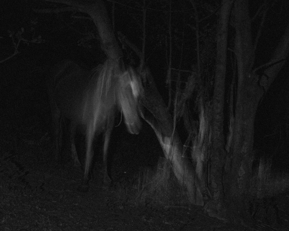 Featured today: 'Anima' by <a href="/rob_amey/">Rob Amey</a>

Read the full interview: blackriver.online/rob-amey--anima

#BlackRiverIssue02