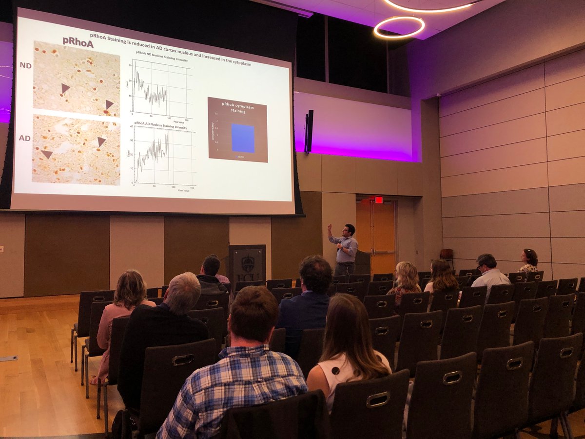 ECUResearch's tweet photo. Stop by the Student Center to check out presentations for Research and Creative Achievement Week, April 4-8. Find the complete schedule at https://t.co/TymP5NwwwU #RCAW22 https://t.co/ZsPGRUqoAI