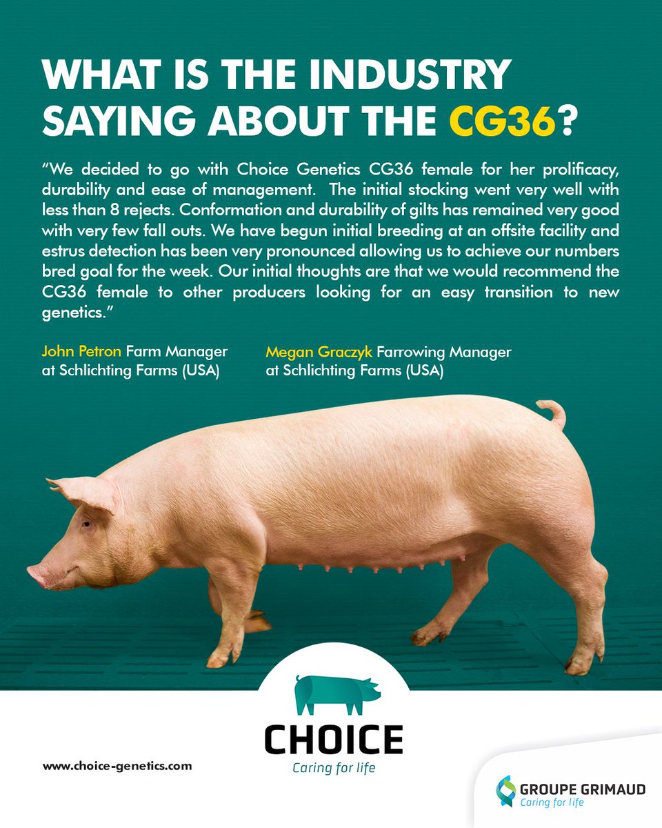 Choice Genetics tweet media