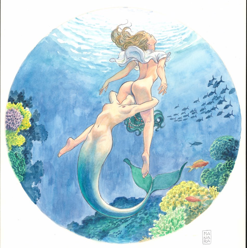 WickedProcrast's tweet photo. #mermaidmonday
Art: Milo Manara
#eroticart #nsfwart #milomanara https://t.co/Jjnxg9Xhe6