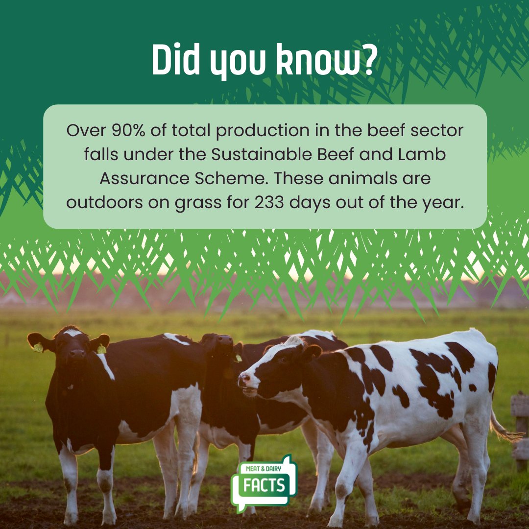 Meat and Dairy Facts (@Meat_DairyFacts) / Twitter Meat and Dairy Facts (@Meat_DairyFacts) / Twitter