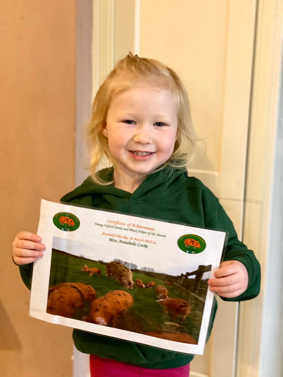 OxfordPig's tweet photo. Annabelle is super proud to have been awarded the Young Oxford Sandy and Black Helper of the Month.  Doing all the normal chores that a #OSBPig Keeper has to do Annabelle also gets stuck in with cooking - brawn.  She is also a fan of #OSBPGCharity Hoodie #awardwinning #pigfarming https://t.co/KAZUEc8oPr