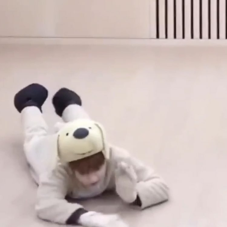 애인이 도그플하고싶다하면 이러고 옴
