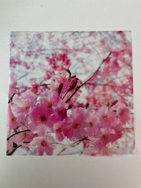 輪つなぎ Twitter Search Twitter