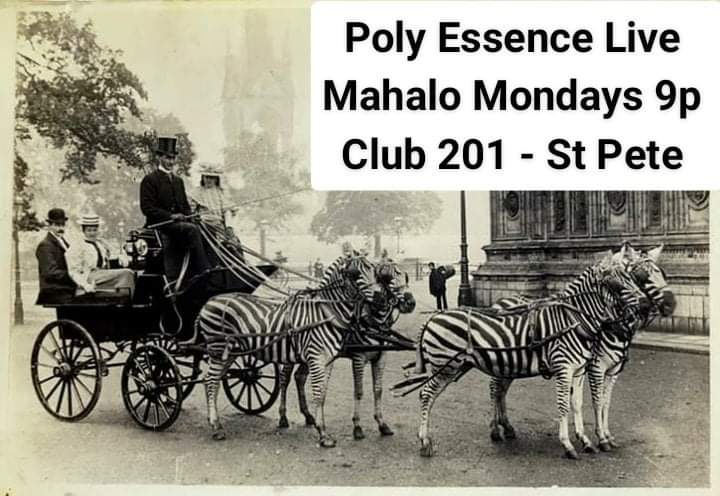 kevinlpurcell's tweet photo. Poly Essence Live Tonight Mahalo Mondays, 4/4 at 9p at Club 201 in St Pete. #livemusic #stpete #PolyEssence #mahalomondays #feelgoodmusic #islandjams #stpetersburg https://t.co/O9eCQh9Qai