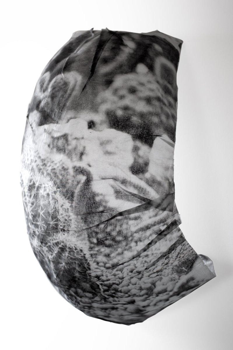 Black River tweet media