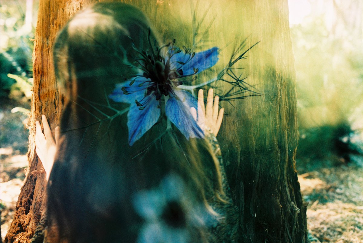 Black River tweet media