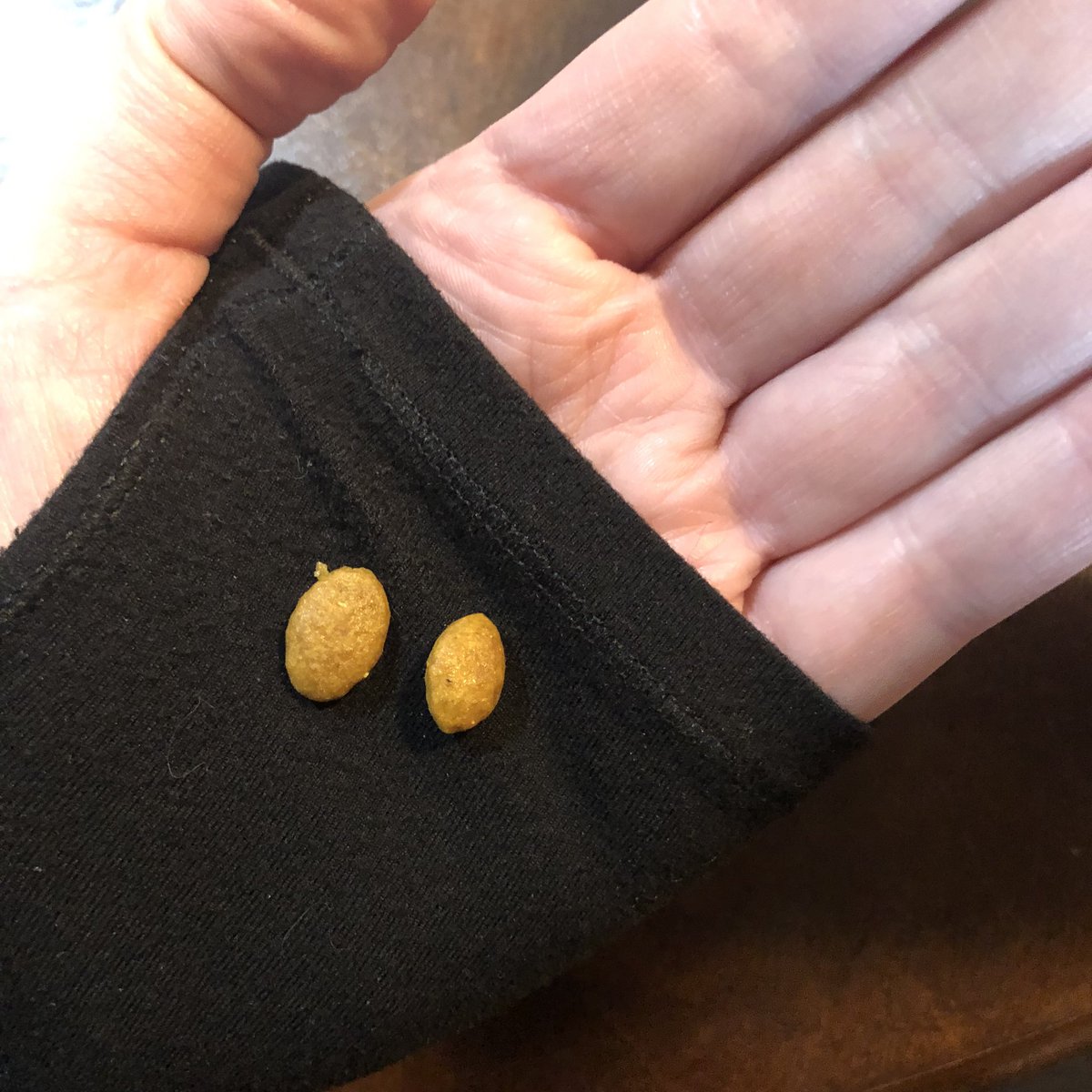 DukeTheDane's tweet photo. @RoyalCanin has the size of the adult Persian cat food changed? We ordered a bag from Amazon while Chewy and the local stores were out and the Amazon purchased food is smaller. Eleanor seems to love the smaller size, but should we worry this is counterfeit or otherwise off? https://t.co/F52EvWAdpy