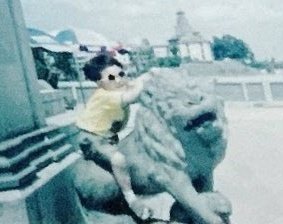 qianhours's tweet photo. my baby 🥹 https://t.co/PMXJ0AIO6H