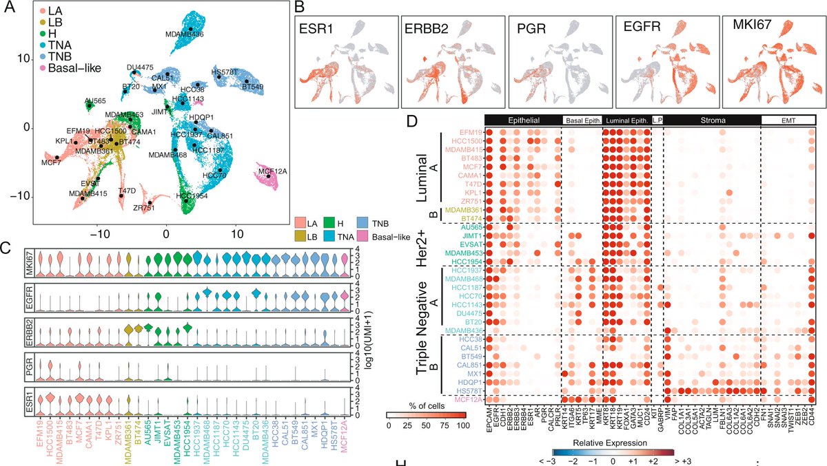 NatureComms's tweet photo. Predicting the impact of tumour #heterogeneity on #drugresponse in #breastcancer using #singlecell profiles of cell lines from all main subtypes and #Bioinformatics

#CancerResearch by @diegodidibi @GennGambard  @Tigem_Telethon @UninaIT

@NatResCancer 

https://t.co/kqHbPwWIxG https://t.co/pnKixTzIeW