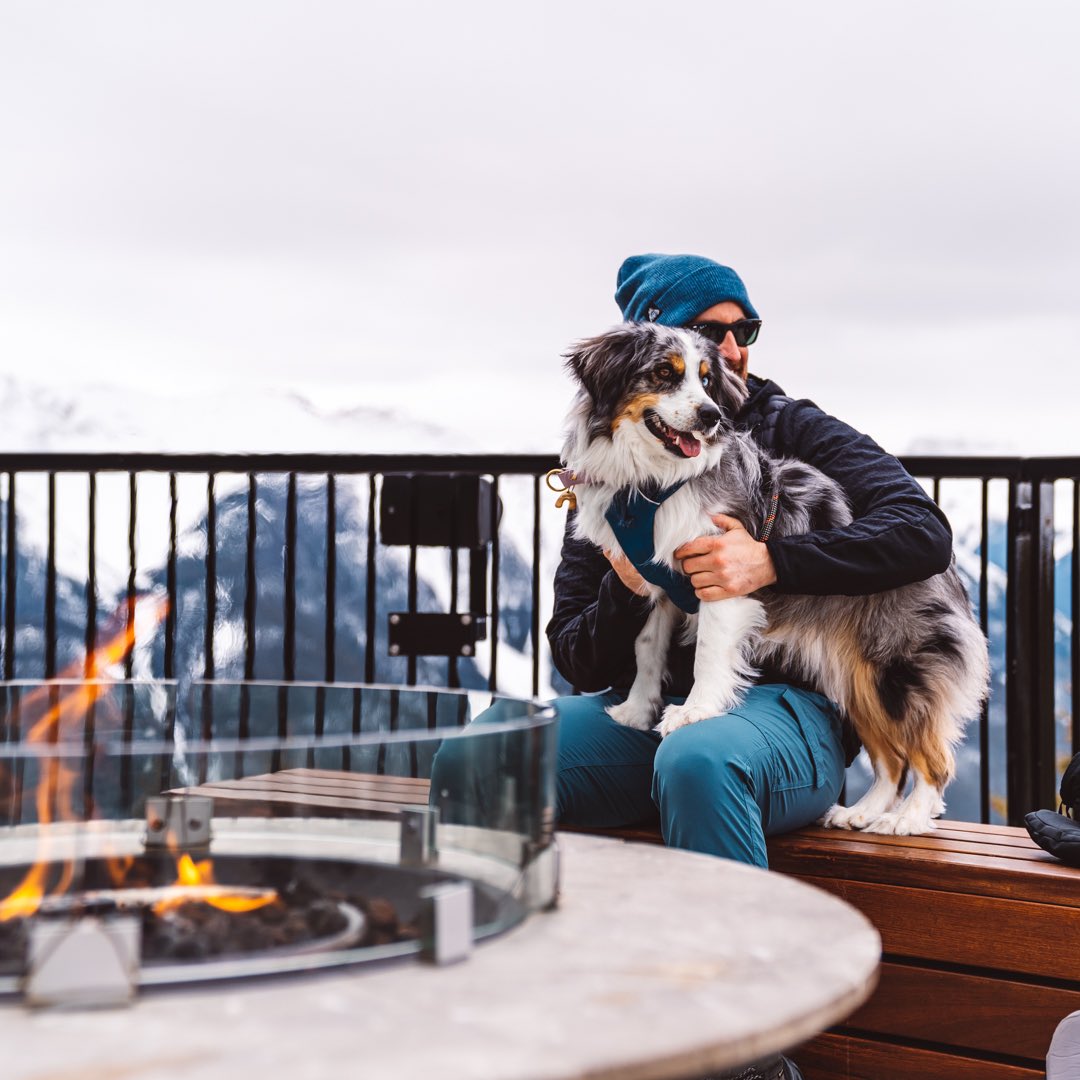 Hiking up Sulphur Mountain in Banff was a very different experience than we are used to, but we loved it!! And we definitely enjoyed the fire pits and flush toilets up top!!!

#banff #sulphurmountain #travelalberta #petfriendly #hikingwithdogs #petparent #travelwithdogs